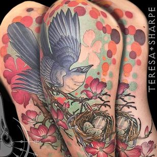 Sinsonte neo tradicional y tatuaje listo de Teresa Sharpe.  #neotradicional #TeresaSharpe # pájaro #potbird # huevos # nido