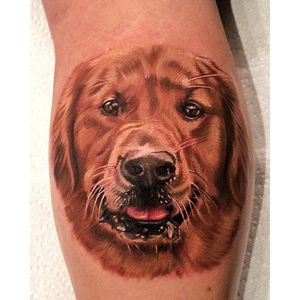 Simply adorable color realism Golden Retriever tattoo by Alexis Kovacs. #goldenretriever #dog #color #realism #colorrealism #AlexisKovacs