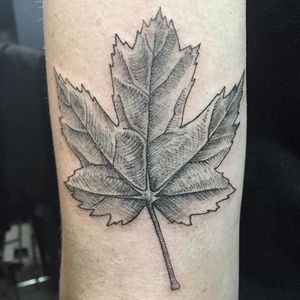 Maple leaf tattoo by Maggie Cho Brophy. #blackwork #linework #MaggieChoBrophy #leaf #mapleleaf #botanical