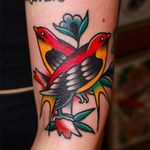 Awesome sparrow couple tattoo done by CP Martin. #CPMartin #thedarlingparlour #sydney #traditionaltattoos #sparrow #bird