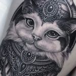 Treasure cat by Flo Nuttall #flonuttall #cat #kitty #ornamental #pattern #jewels #crown #treasure #blackandgrey #blackwork #tattoooftheday