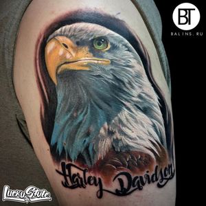 A noble bald eagle above text that reads "Harley-Davidson" by Don Balins (IG—balins_tattoo). #color #DonBalins #eagle #Harley #HarleyDavidson #realism