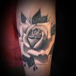 Rose by Willy Grattan #WillyGrattan #blackandgrey #rose #realism #tattoooftheday