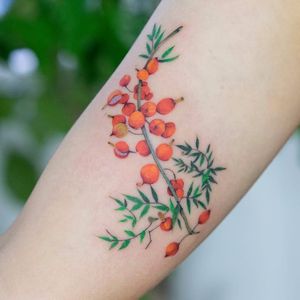 Nature things by Zihee #Zihee #color #watercolor #realism #realistic #painting #nature #berries #fruit #flowers #leaves #branch #tattoooftheday