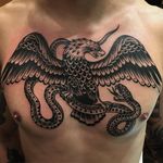 The iconic eagle vs snake tattoo. By Paul Dobleman #PaulDobleman #snaketattoos #blackandgrey #traditional #snake #reptile #eagle #bird #wings #feathers #fight #animal #nature