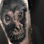 Black and grey monkey tattoo by Levi Barnett. #realism #blackandgrey #LeviBarnett #monkey