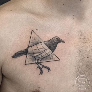 Bird by Sven Rayen (via IG-svenrayen) #geometric #blackandgrey #animal #bird #triangle #illustrative #svenrayen