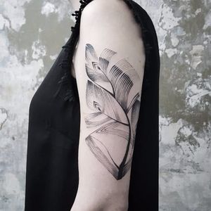Feather tattoo by Bianka Szlachta #BiankaSzlachta #ignorantstyle #folk #naive #linework #minimalistic #feather
