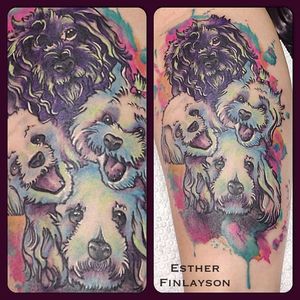 A watercolor poodle family portrait tattoo by Esther Finlayson. #watercolor #poodle #dog #neotraditional #EstherFinlayson
