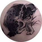 Rad bobcat tattoo done by Chenpo. #chenpo #newtattoo #asianstyle #brushstyle #bobcat #wildcat #blackandgrey