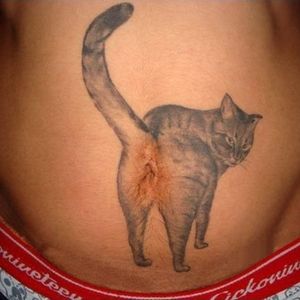 Catt butthole tattoo! #cat #cattbutthole #catbuttholetattoo