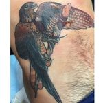 Neo traditional hawk tattoo by Kaitlin Greenwood. #neotraditional #KaitlinGreenwood #bird #hawk