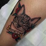 Traditional style cat tattoo by Chris Jenko. #traditional #cat #banner #feline #ChrisJenko