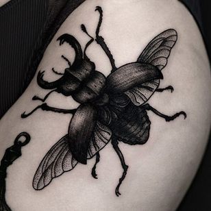 Una representación increíble de un escarabajo ciervo por Ilja Hummel (IG— iljahummel).  #negro #ilustrando #IljaHummel #hjortbeetle