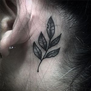 Clean leaves tattoo at the back of the ear. Solid work by Tommy Lee. #Tommylee #109 #illustrativetattoo #blacktattoo #leaves