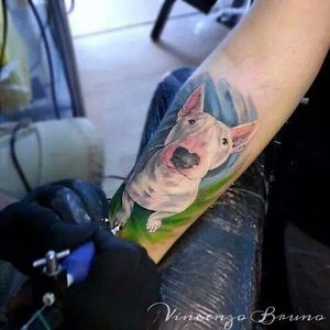 Color realism bull terrier tattoo by Vincenzo Bruno. #realism #colorrealism #dog #bullterrier #petportrait #VincenzoBruno