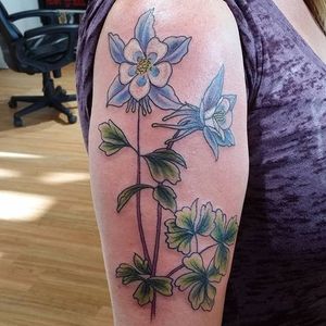 Fine line sketch style blue columbine flower tattoo by Kody Chapman. #flower #floral #columbine #columbineflower #sketch #fineline #KodyChapman