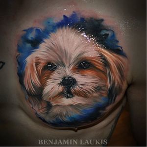 #BenjaminLaukis #realismo #cachorro #dog