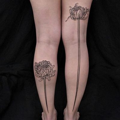 Chrysanthemum by Chaim Machlev #ChaimMachlev #linework #blackwork #chrysanthemum #tattoooftheday