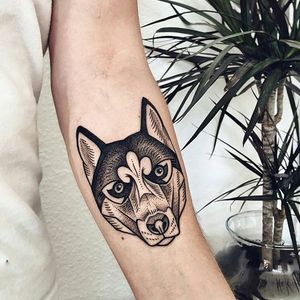 Blackwork husky tattoo by Sasha Kiseleva. #blackwork #linework #dotwork #dog #husky #SashaKiseleva