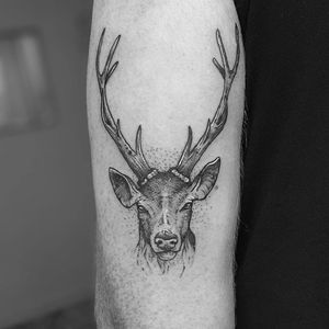 Blackwork Stag Tattoo by Tom Tom Tatts #blackwork #blackworkstag #stag #blackstag #blackink #contemporary #TomTomTatts