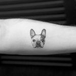 Frenchie via instagram mr.k_tats #frenchie #frenchbulldog #dog #pet #petportrait #blackandgray #microtattoo #MrK