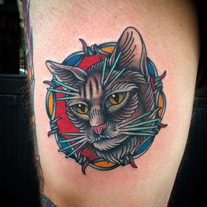 Barbed Wire by Phil Hatchet (via IG-philhatchetyau) #traditional #cats #Cattoo #color #PhilHatchetyau