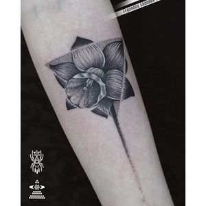 Graphic black and grey dotwork daffodil tattoo by Fernando Gandara Frechoso. #daffodil #dotwork #graphic #blackandgrey #flower #FernandoGandaraFrechoso