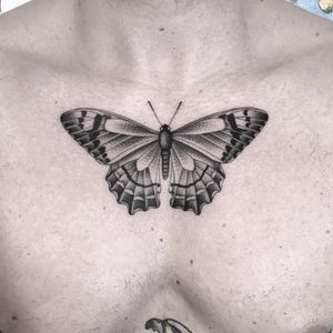Papillon by Christian Lanouette #ChristianLanouette #blackandgrey #realism #realistic #linework #insect #butterfly #moth #nature #papillon #tattoooftheday