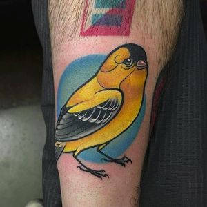 Goldfinch by Joshua Bowers (via IG -- iron_heart_tattoo) #JoshuaBowers #bird #birdtattoo #goldfinch #goldfinchtattoo
