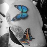 #butterflys #borboletas #coloridas #colorful #Taizane #TaizaneTatuadora #brasil #brazil #portugues #portuguese
