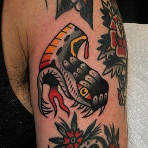 Snake Head Tattoo by Alex Zampirri #snakehead #snakeheadtattoo #traditional #traditionaltattoo #oldschool #traditionalartist #AlexZampirri