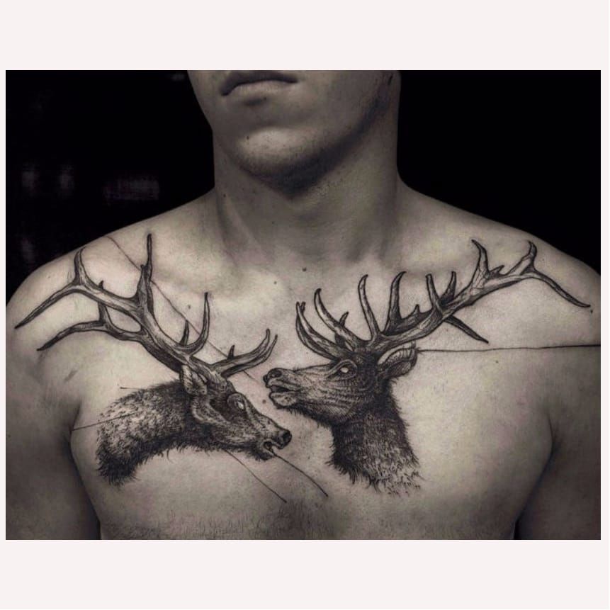 Finished stag chest piece from Josh Dix @ At Peace Body Arts in Rochester  NH : r/tattoos