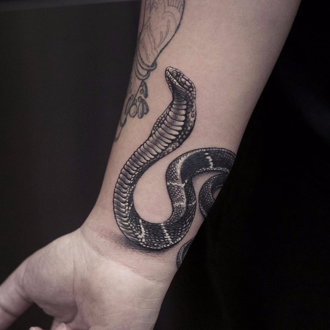 Black and grey realistic snake tattoo