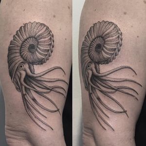 A soft black and grey nautilus by Jessica Aaron (IG—jessica_aaron). #blackandgrey #femaleonly #JessicaAaron #nautilus #Rome #tattooconvention #TheOtherSideoftheInk