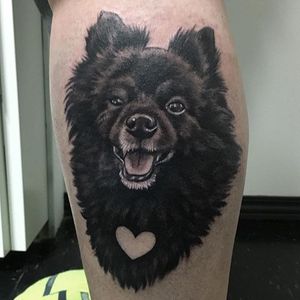 A heartwarming tribute to a family pet. Tattoo by Suzanna Fisher. #dog #pomeranian #tribute #realism #SuzannaFisher