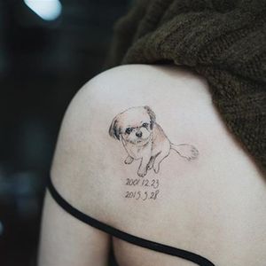 A memorial tattoo of someone'e beloved Shih Tzu by Sol Tattoo (IG—soltattoo). #adorable #micropuppies #minature #realism #SolTattoo