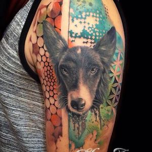 Mixture of styles in this border collie tattoo by Osiris. #abstract #watercolor #geometric #floweroflife #dog #collie #bordercollie #Osiris