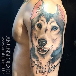 Adorable husky tattoo by Anubis Lok. #neotraditional #dog #husky #lettering #AnubisLok