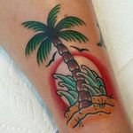 Palm Tree Tattoo by Sean Shadel #palmtree #treetattoo #tropicaltattoo #traditionaltattoos #SeanShadel