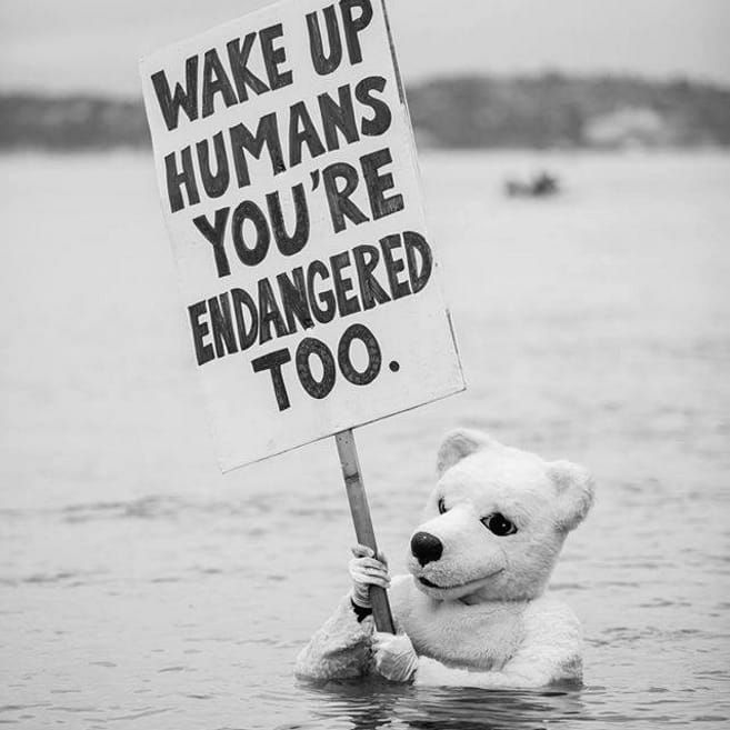 Tattoo uploaded by Tattoodo • Quirky but super real climate change image via  Pintrest #climatechange #polarbear #endangered • Tattoodo