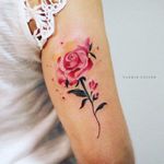 Por Yasmin Coiado #YasminCoiado #brasil #brazil #brazilianartist #TatuadorasDoBrasil #minimalist #minimalista #fineline #aquarela #watercolor #colorido #colorful #delicate #delicado #flor #flower #rosa #rose