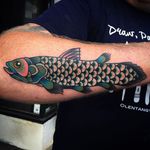Rainbow Trout by Phil DeAngulo (via IG-midwestphil) #fish #animal #color #traditional #bold #PhilDeAngulo
