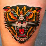 Solid and vibrant tiger head tattoo done by Alex Wild. #AlexWild #traditionaltattoo #boldtattoos #tigerhead #tiger #growlingtiger