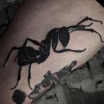Ant Tattoo by Aru Tattoo #ant #insect #bug #blackworkinsect #blackinsect #creatures #Aru #AruTattoo