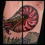 Nautilus Tattoo by Jaysin Burgess #nautilus #nauilustattoo #nautilustattoos #traditionalnautilus #seacreature #seacreaturetattoos #traditionaltattoo #traditional #oldschool #JaysinBurgess