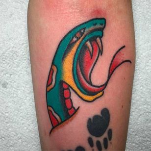 Tatuaje de cabeza de serpiente de aspecto funky de Andrew Mcleod.  #AndrewMcleod # tatuaje tradicional #serpiente #tradicional #reptil