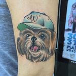 Shih tzu wearing a hat tattoo by Marc Resist. #dog #shihtzu #sketchy #illustrative #MarcResist