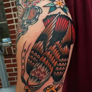 Hawk Tattoo by Alex Zampirri #hawk #hawktattoo #traditional #traditionaltattoo #oldschool #traditionalartist #AlexZampirri