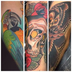 A selection of Justin Acca's neo traditional tattoos. #neotraditional #JustinAcca #bird #parrot #owl #skull